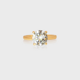 - The Must Have Ring -