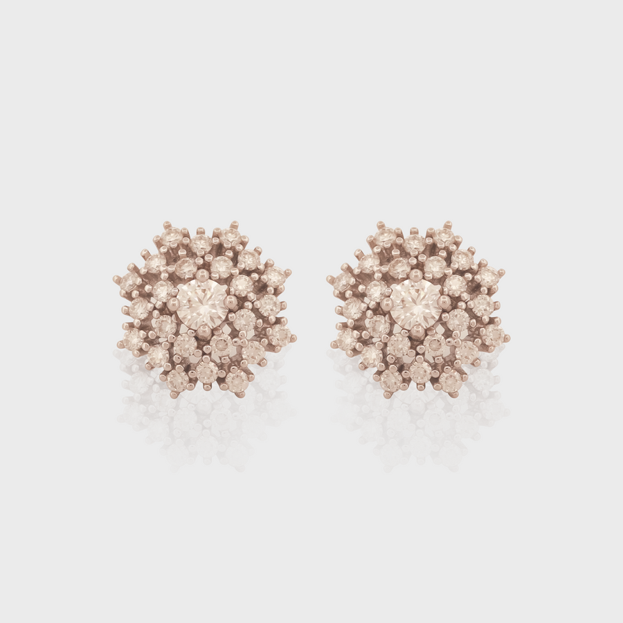 - The Perfect Earrings -